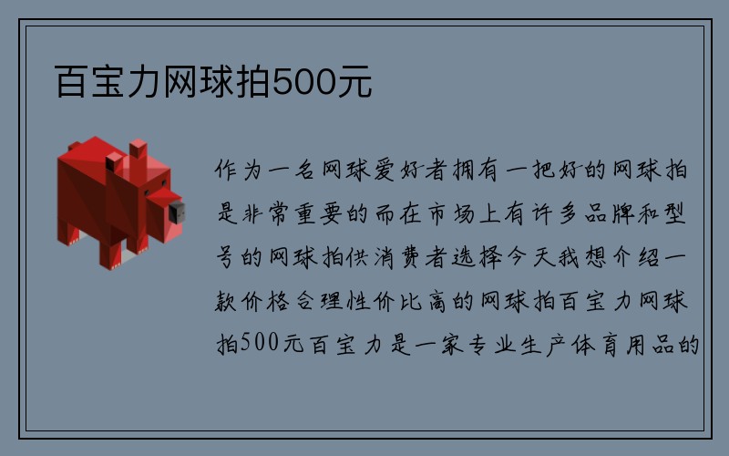 百宝力网球拍500元